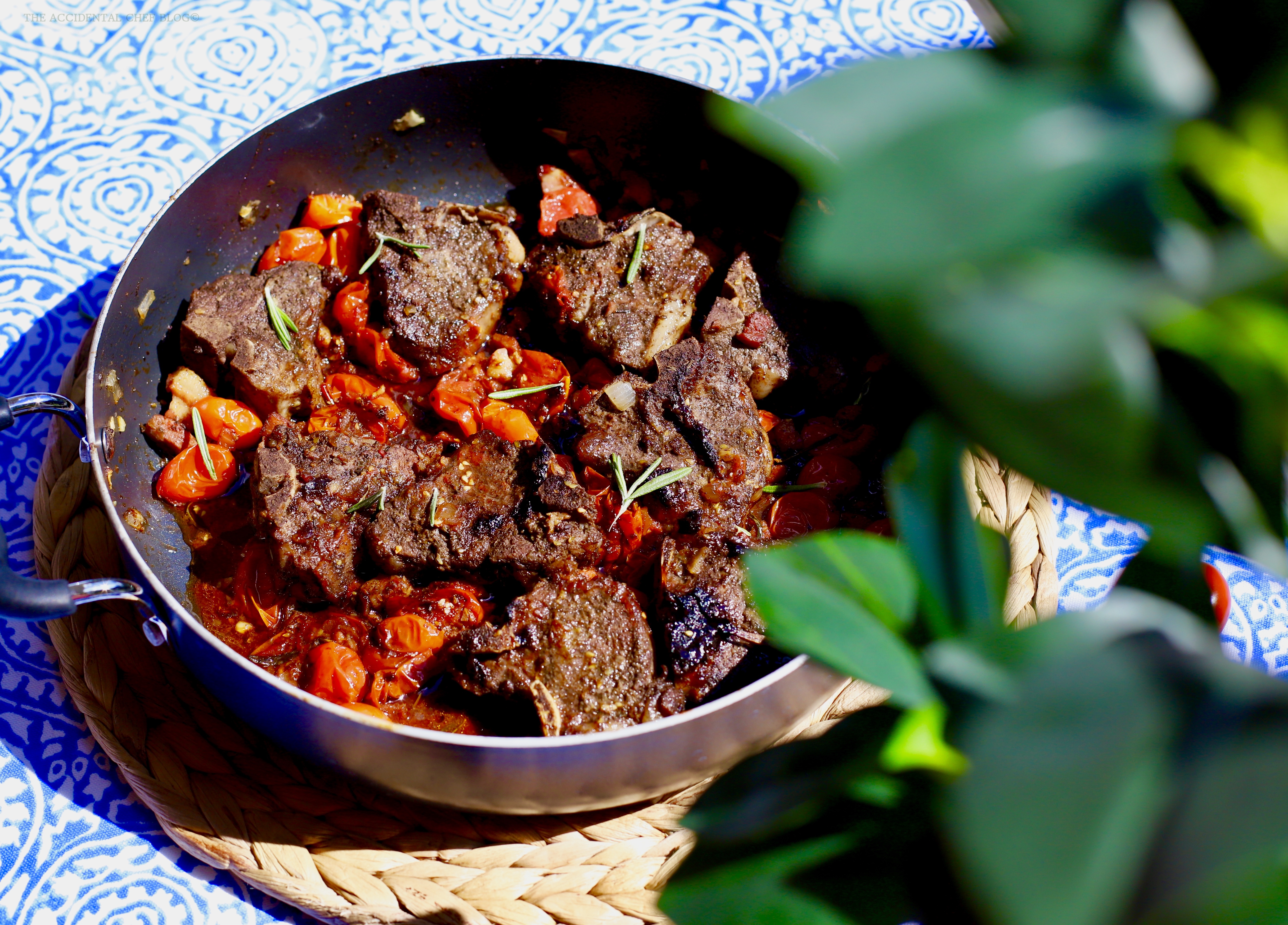 Mediterranean Moroccan Lamb Chops | THE ACCIDENTAL CHEF BLOG